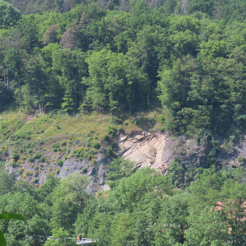 Referenzen - Betreuung Kartierung Felssicherung - Bild 3
