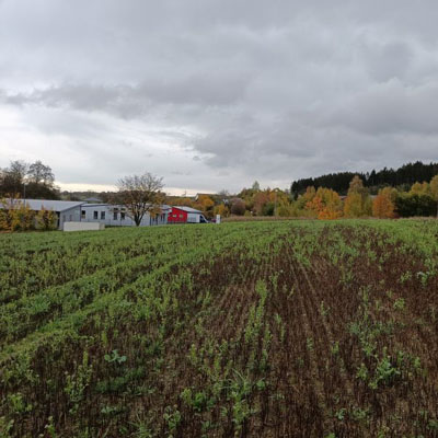 Neubau einer Gewerbehalle in Köditz